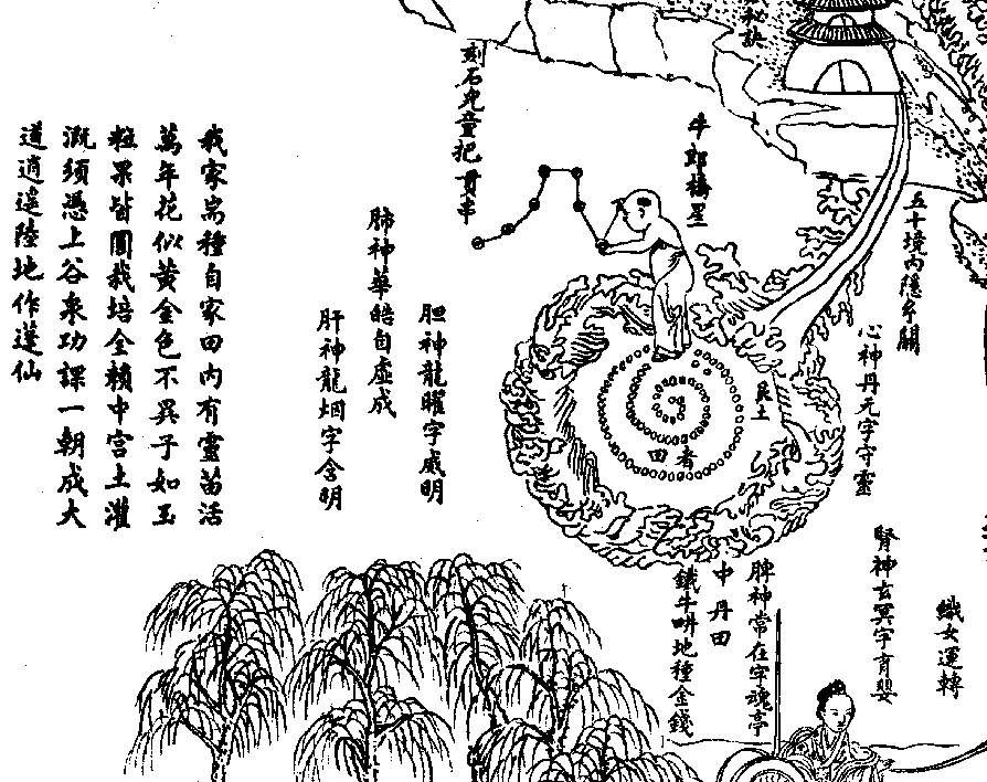 Middle Cinnabar Field (Neijing tu, detail)